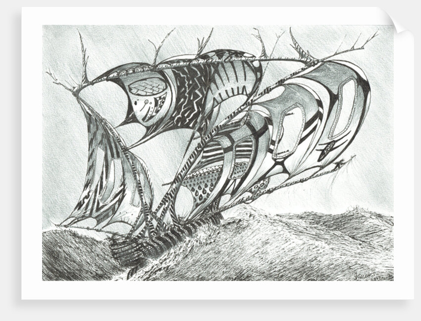 Storm Creators Sargasso Sea, 2017 by Vincent Alexander Booth