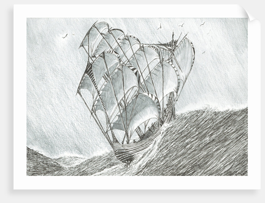 Storm Creators Coral Sea, 2017 by Vincent Alexander Booth