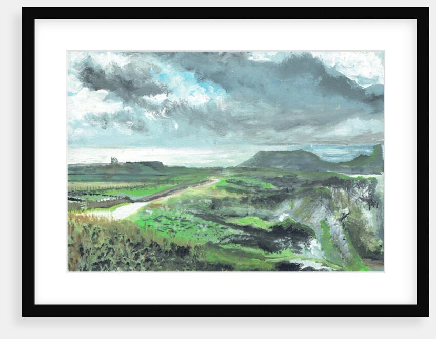 Gower Point, 1991 by Vincent Alexander Booth