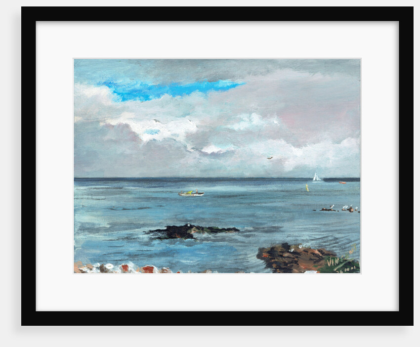 Howth Ireland, 2001 by Vincent Alexander Booth