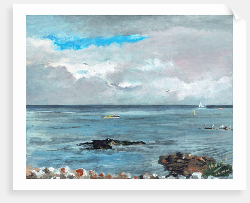 Howth Ireland, 2001 by Vincent Alexander Booth