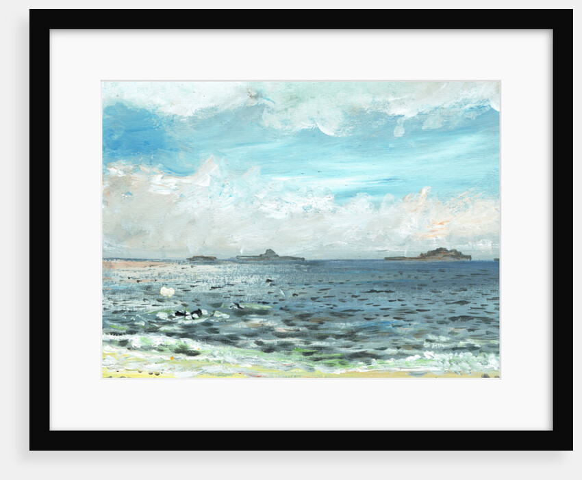 Iona beach, 2007 by Vincent Alexander Booth