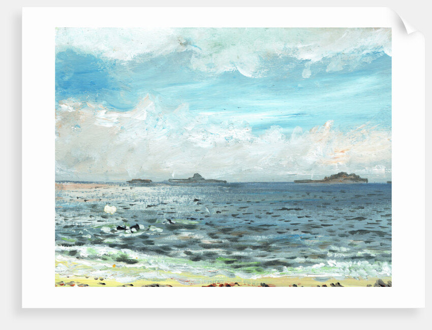 Iona beach, 2007 by Vincent Alexander Booth