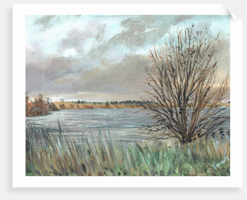 Fannyside Loch, 2009 by Vincent Alexander Booth