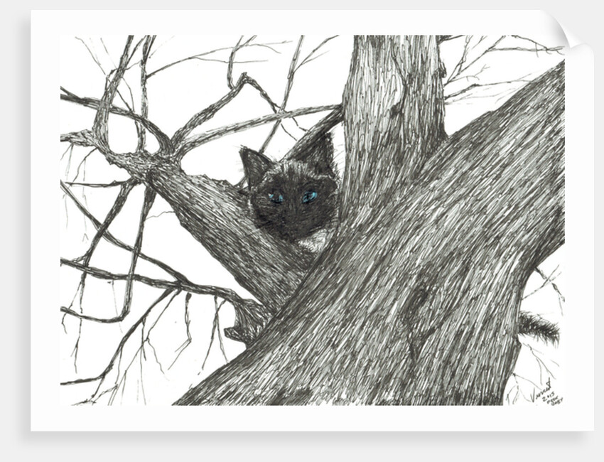 Apple tree Baby, 2015 by Vincent Alexander Booth