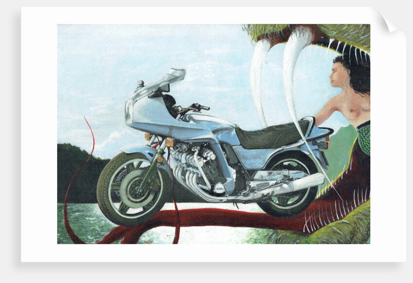 Freedom deliverance, 1986 by Vincent Alexander Booth