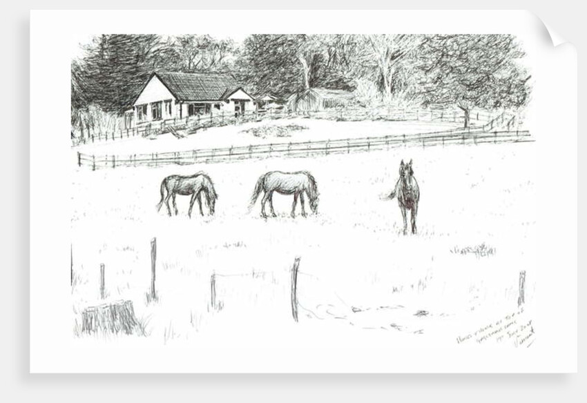 Horses at top of lane, 2008 by Vincent Alexander Booth