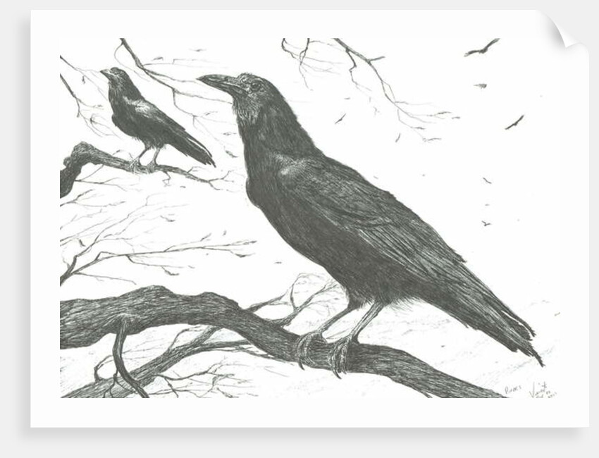 Observers, 2011 by Vincent Alexander Booth