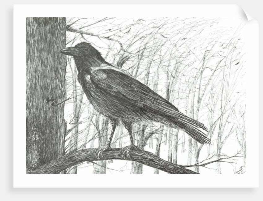 Bird, 2011 by Vincent Alexander Booth