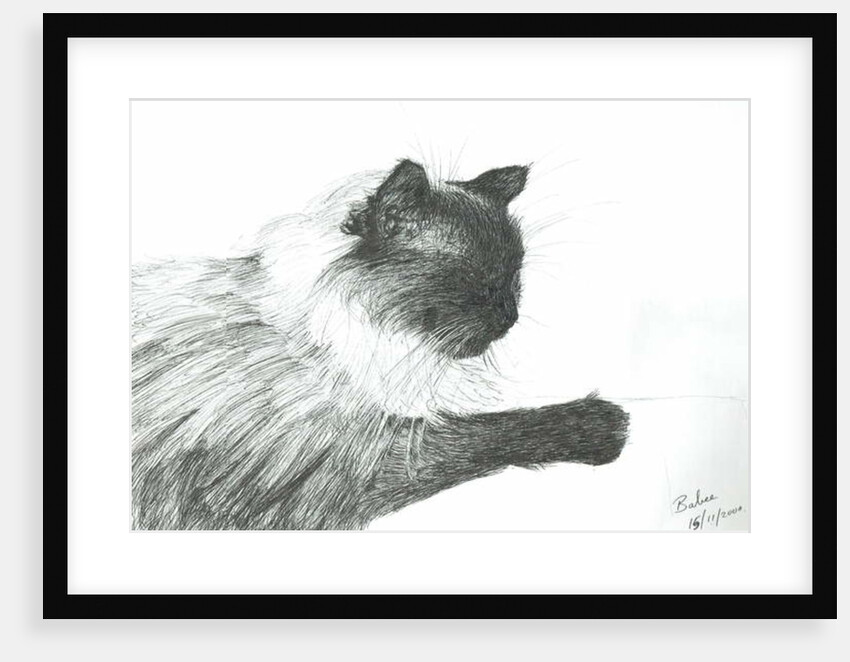 Babee, 2000 by Vincent Alexander Booth