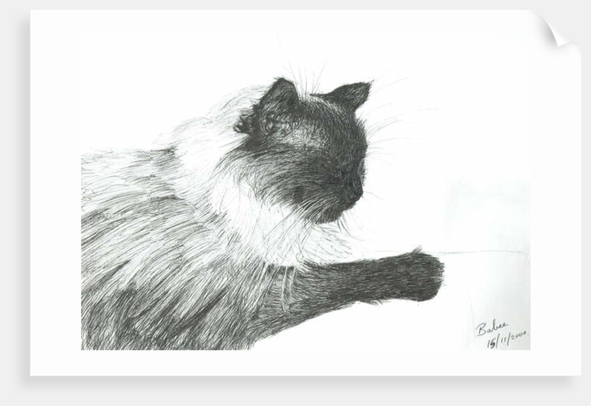 Babee, 2000 by Vincent Alexander Booth