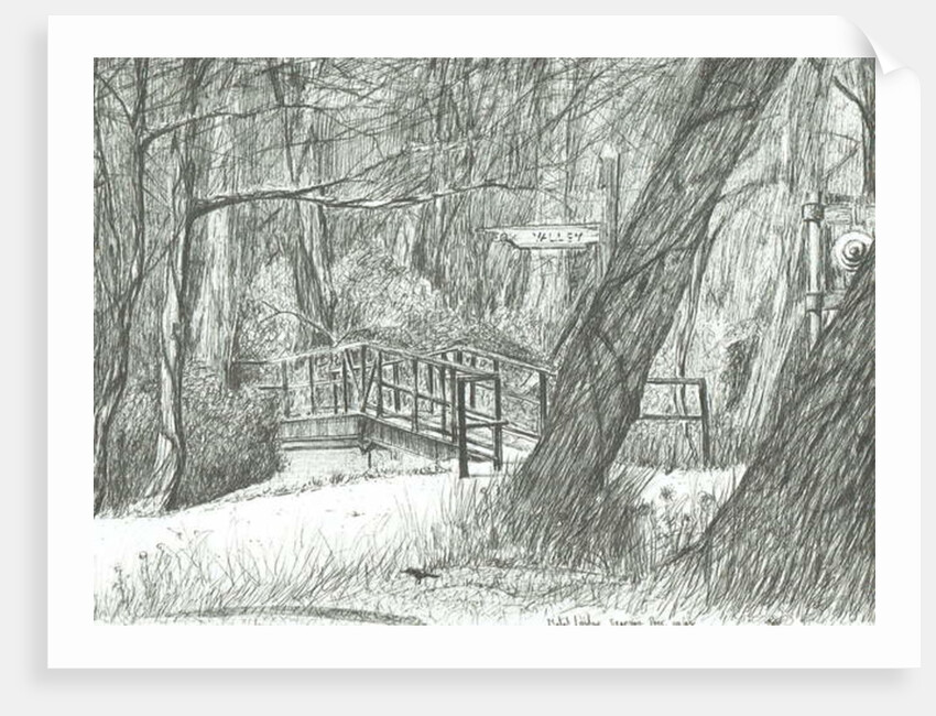The old metal bridge, Bramhall park, 2004 by Vincent Alexander Booth