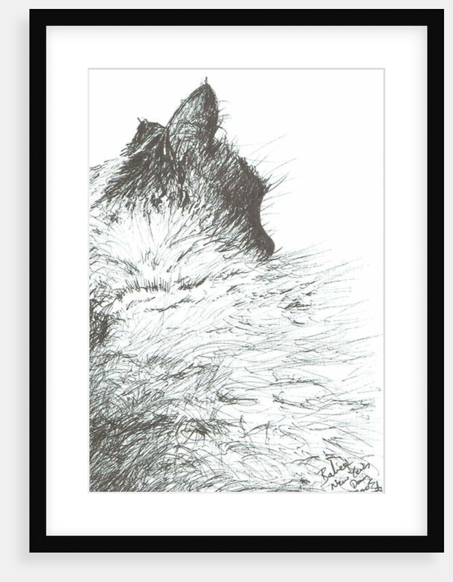 Baby keeps warm New Year, 2005 by Vincent Alexander Booth