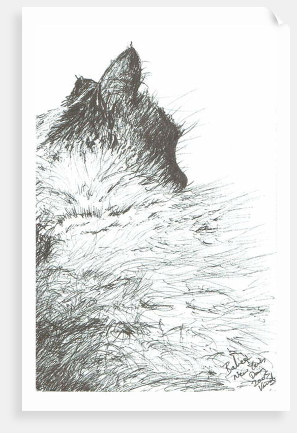 Baby keeps warm New Year, 2005 by Vincent Alexander Booth