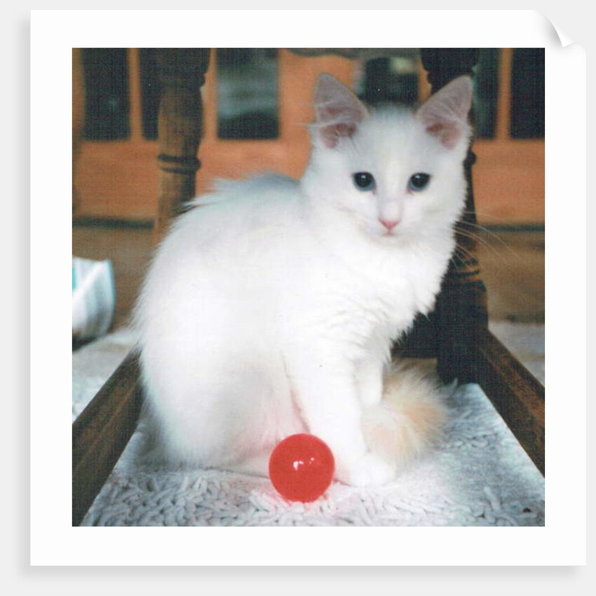 Red Ball Boy, 2017 by Vincent Alexander Booth