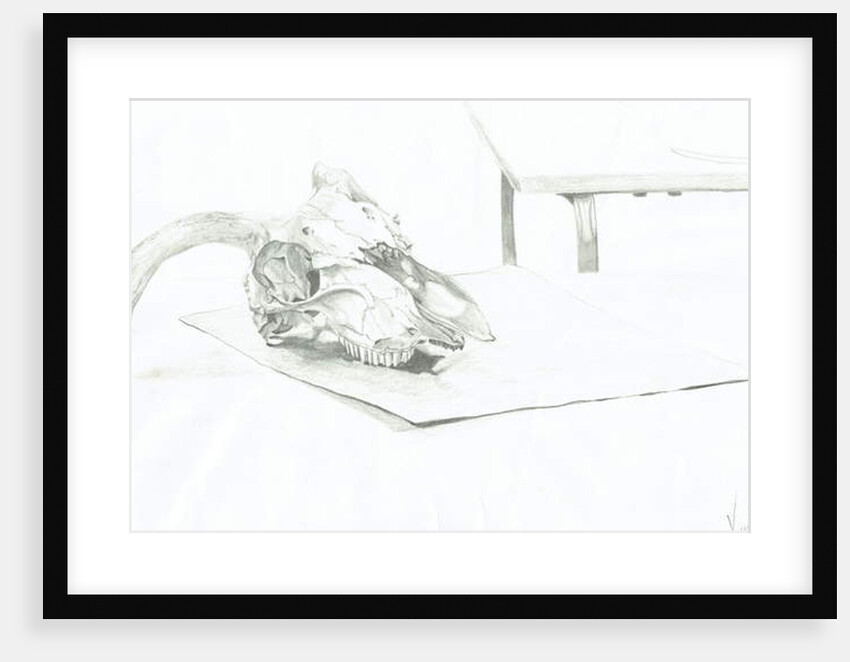 Skull, 1996, by Vincent Alexander Booth