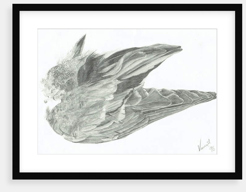 Wing, 1996 by Vincent Alexander Booth