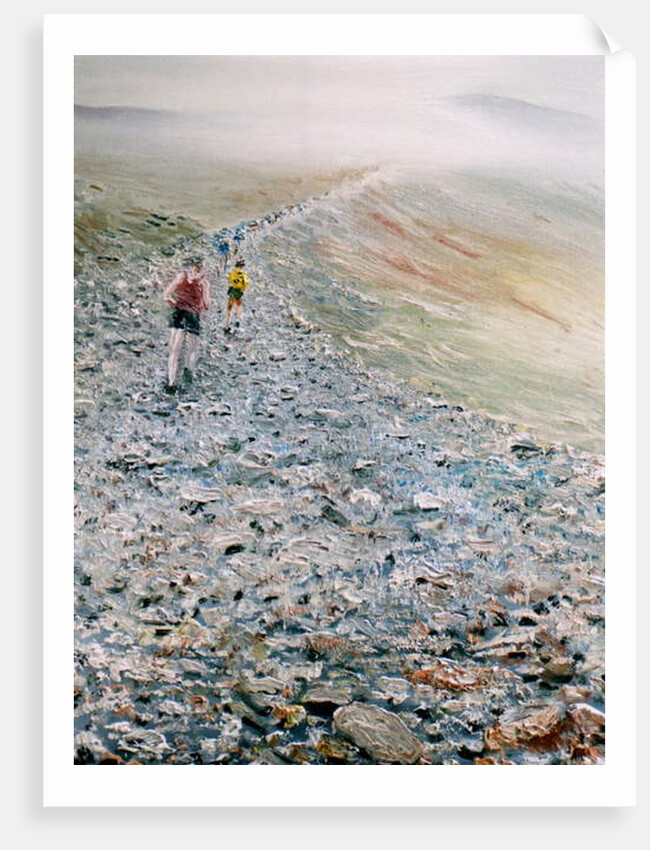 Run up Snowdon, 2014 by Vincent Alexander Booth