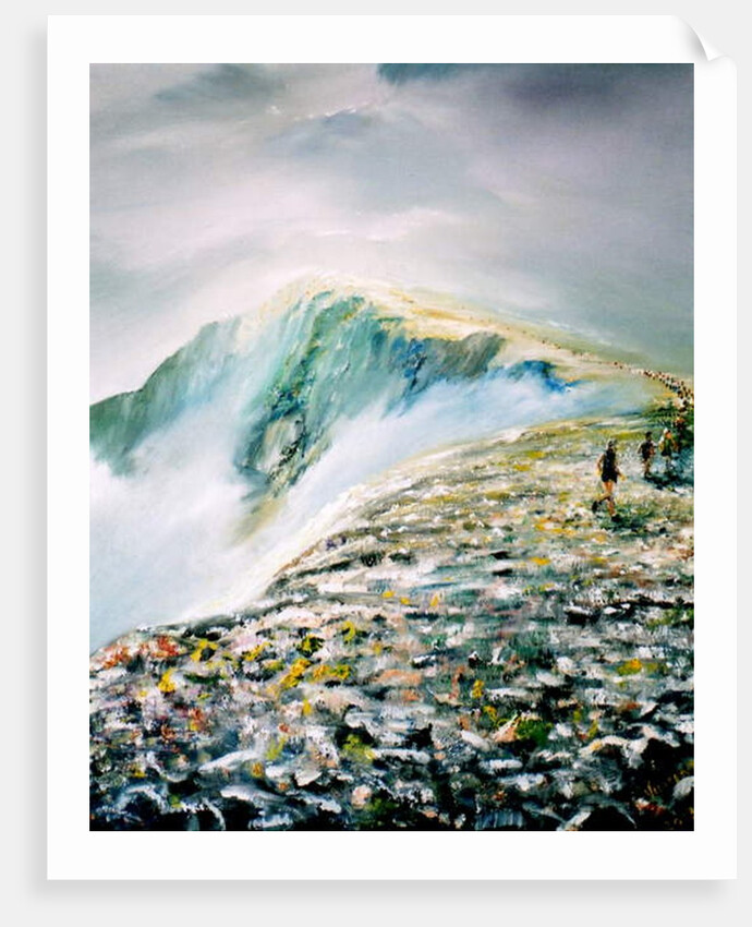 Summer race on Helvellyn, 2013 by Vincent Alexander Booth