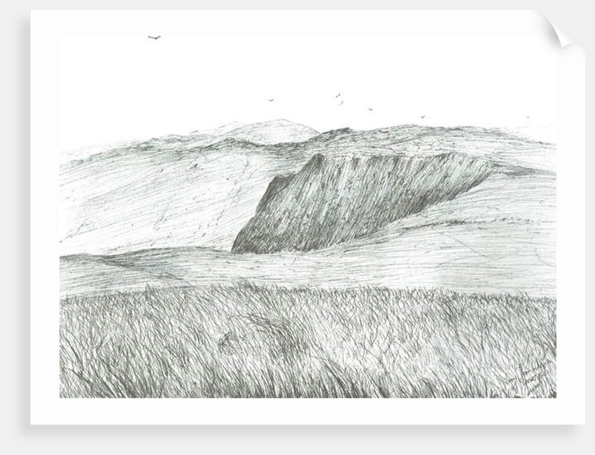 Slopes of Hartfell, 2003 by Vincent Alexander Booth