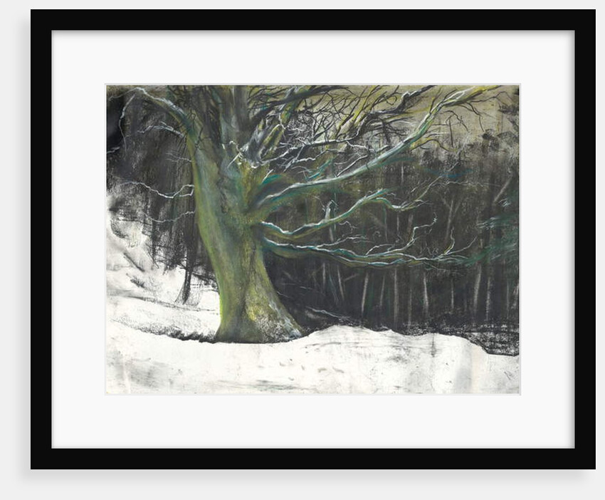 Tree in winter snow at Osmotherley woods, 1997 by Vincent Alexander Booth