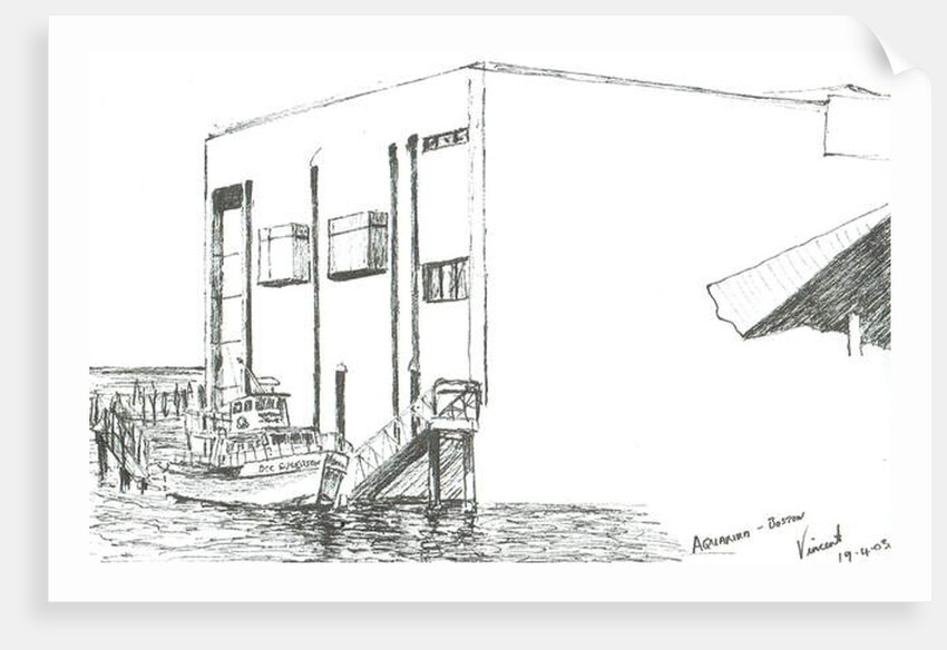 Aquarium Boston Mass, 2003 by Vincent Alexander Booth