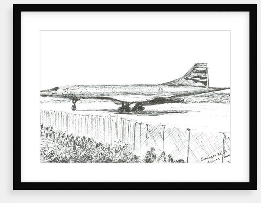 Concord's last landing, 2003 by Vincent Alexander Booth