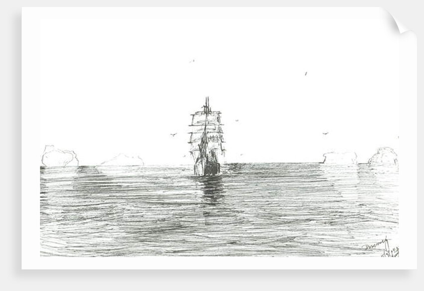 Terra Nova under sail, 2008 by Vincent Alexander Booth