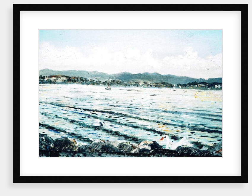 Swan on lake, 2010 by Vincent Alexander Booth