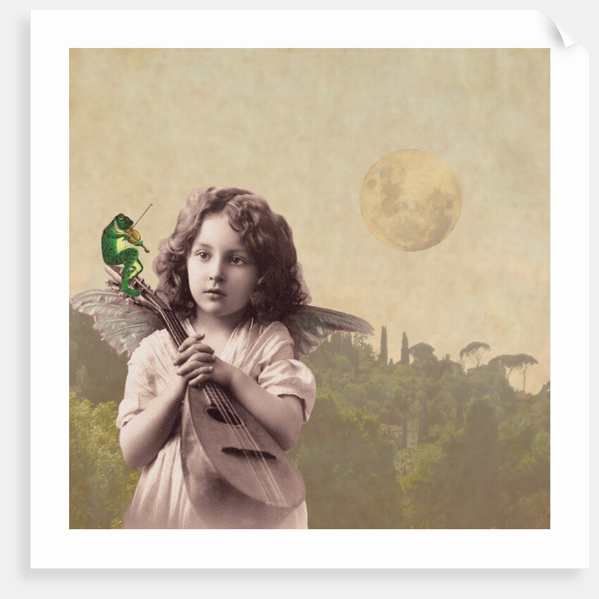 Frog Chorus, 2014 by Olga Snell