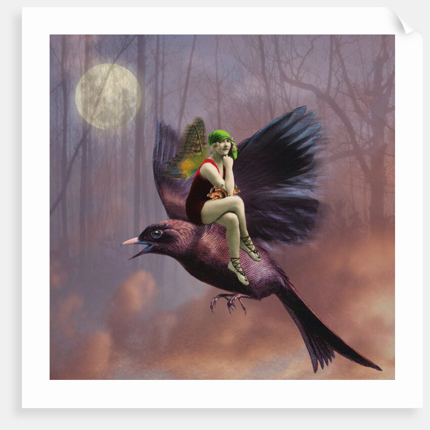 Flight, 2014 by Olga Snell