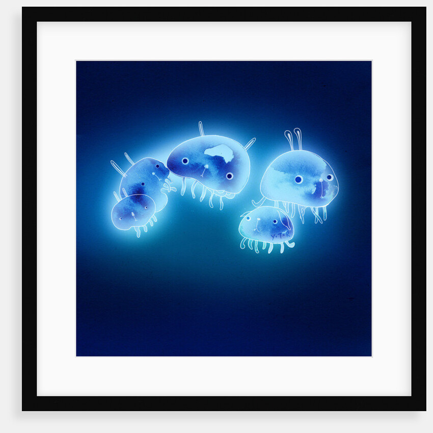 Jelly fish, 2013 by Yoyo Zhao