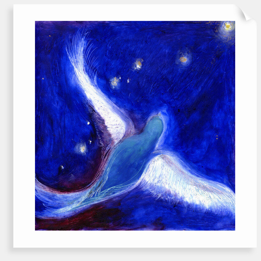 Star Bird, 2012 by Nancy Moniz Charalambous