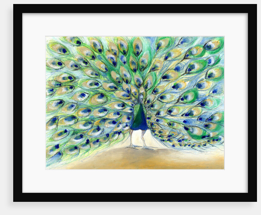 Peacock in San Diego 2, 2013 by Nancy Moniz Charalambous