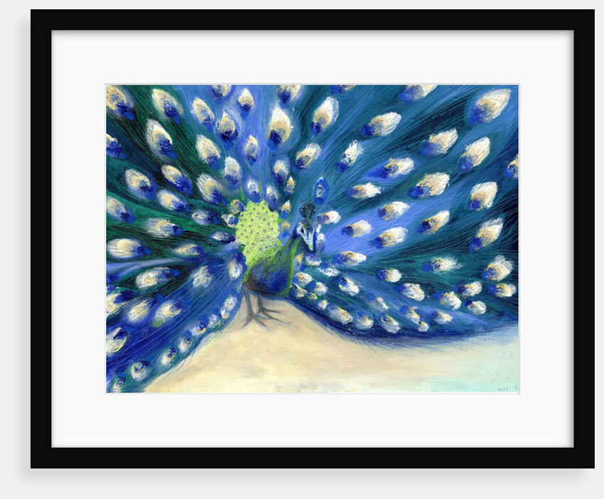 Peacock Eyes by Nancy Moniz Charalambous
