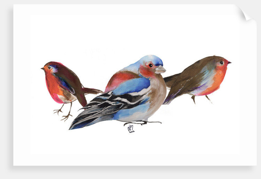 Birds of a feather, 2011 by Nancy Moniz Charalambous