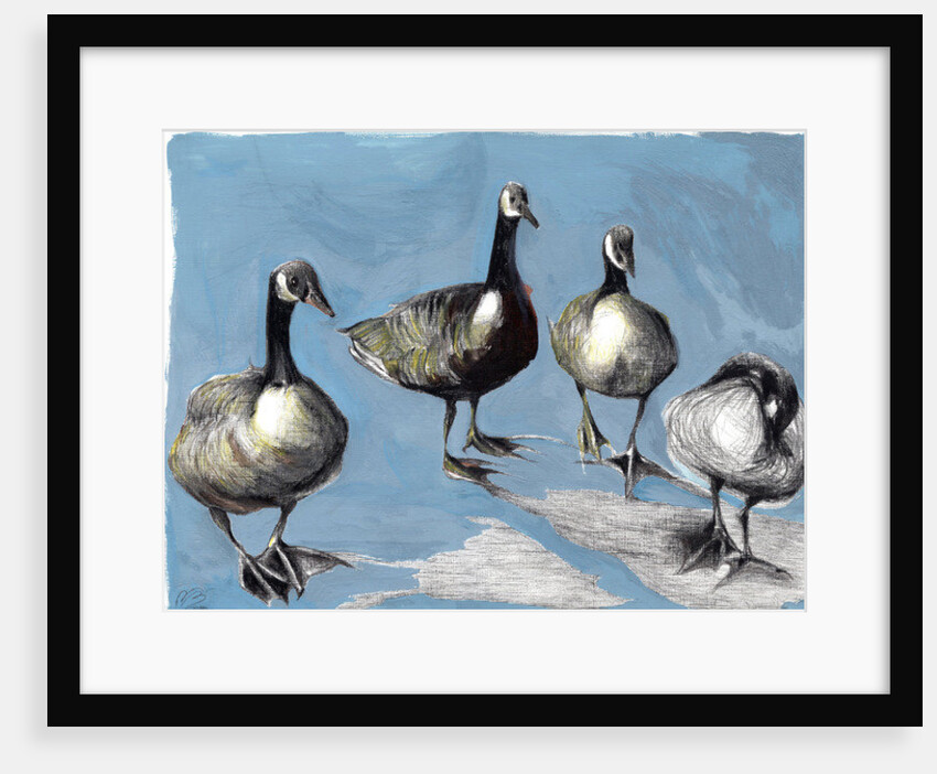 Friendly Canada Geese, 2018 by Nancy Moniz Charalambous