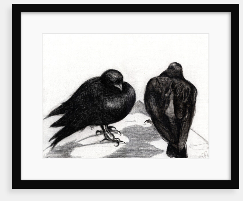 Serious Pigeon Situation, 2012 by Nancy Moniz Charalambous