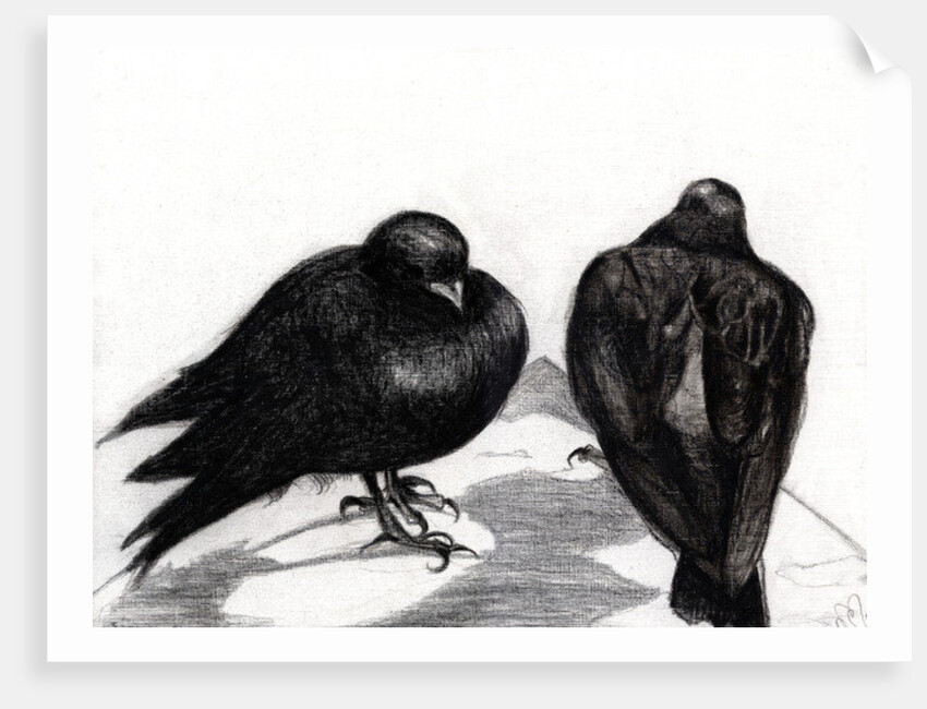 Serious Pigeon Situation, 2012 by Nancy Moniz Charalambous