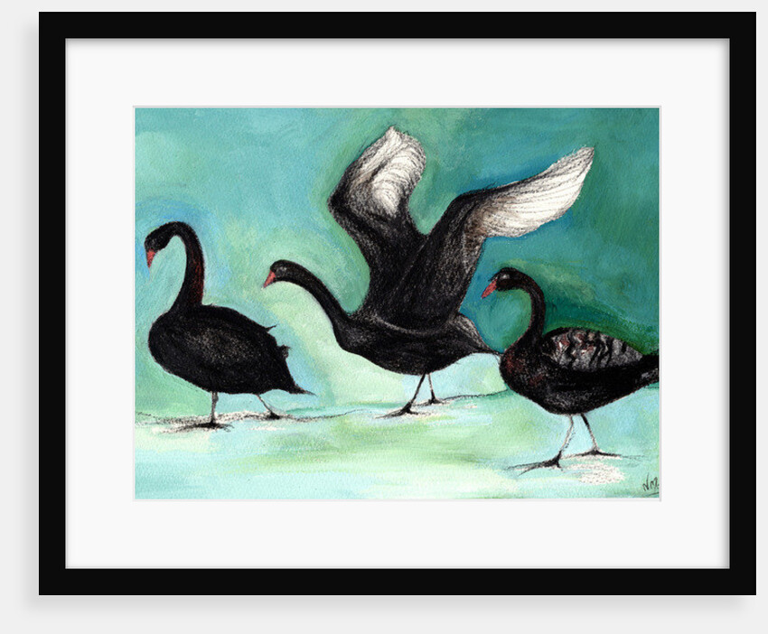 A ballet of Black Swans, 2013 by Nancy Moniz Charalambous