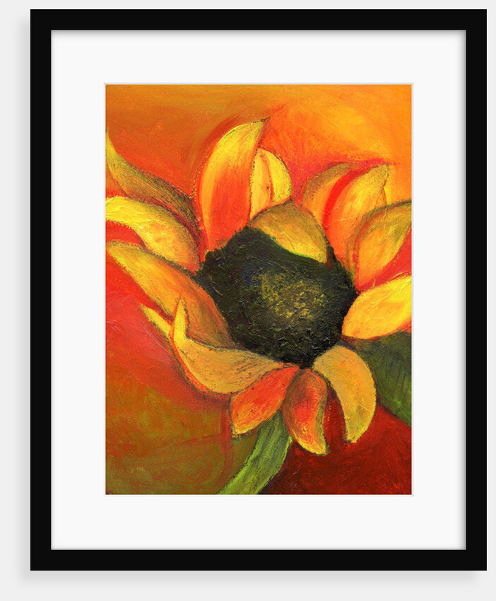 September Sunflower, 2011 by Nancy Moniz Charalambous