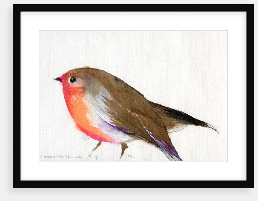 A magical little robin called Wisp, 2011 by Nancy Moniz Charalambous