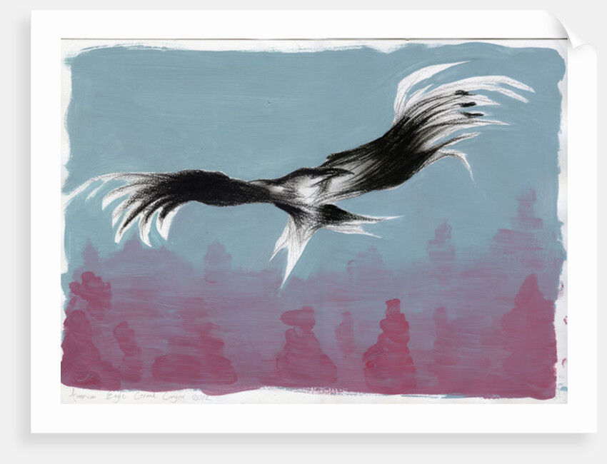 Canyon Eagle, 2014 by Nancy Moniz Charalambous