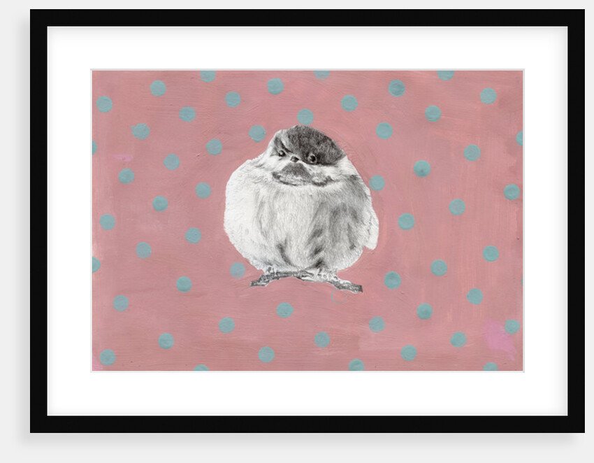 Chubby little bundle, 2014 by Nancy Moniz Charalambous