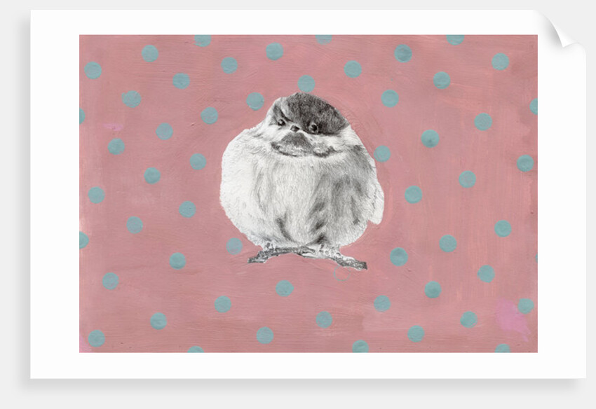 Chubby little bundle, 2014 by Nancy Moniz Charalambous