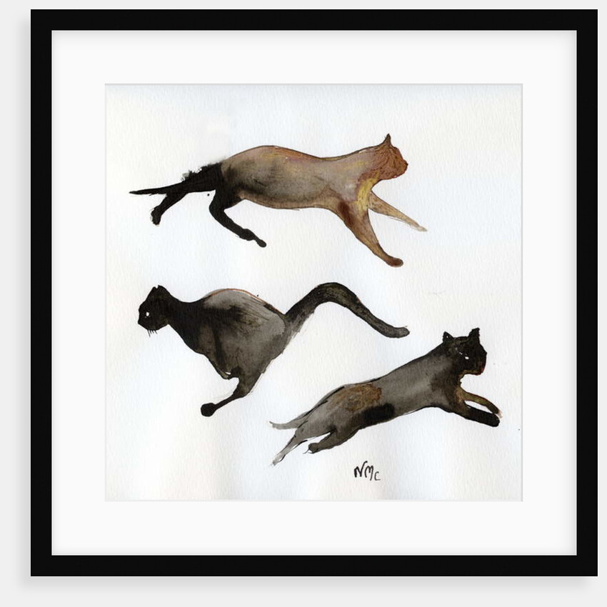 Run Cat Run, 2017 by Nancy Moniz Charalambous