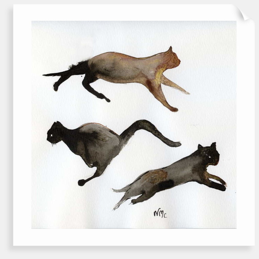 Run Cat Run, 2017 by Nancy Moniz Charalambous