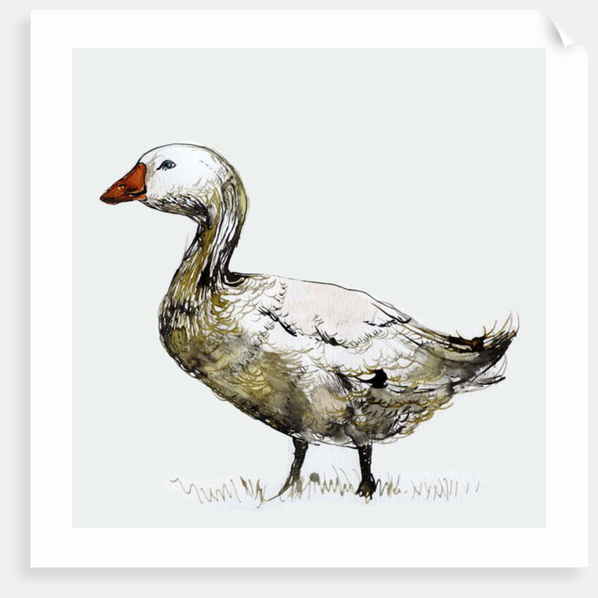 Filthy Goose, 2017 by Nancy Moniz Charalambous