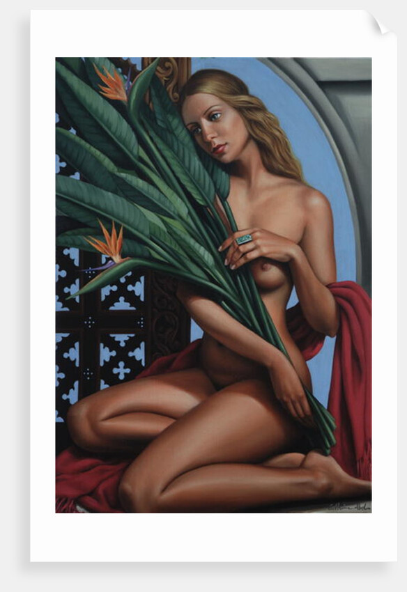 Bird of Paradise, 2007 by Catherine Abel