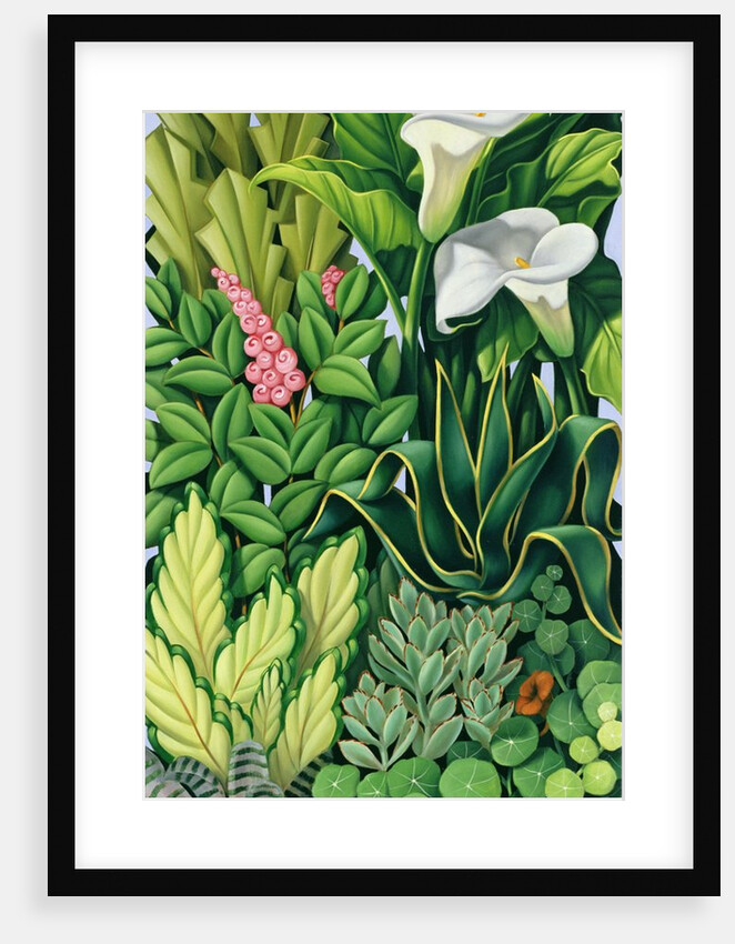 Foliage I, 2003 by Catherine Abel